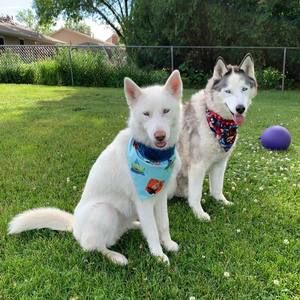 Meet your Posher, Becky